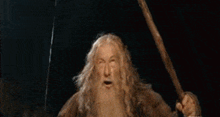 you_shall_not_pass_47fa04d6d4.gif
